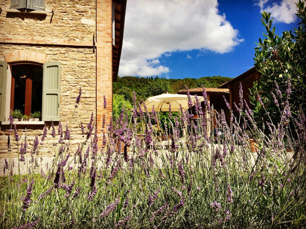 Il Cardello Locanda Casola Valsenio Buitenkant foto