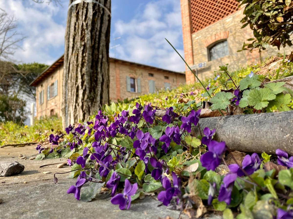 Il Cardello Locanda Casola Valsenio Buitenkant foto